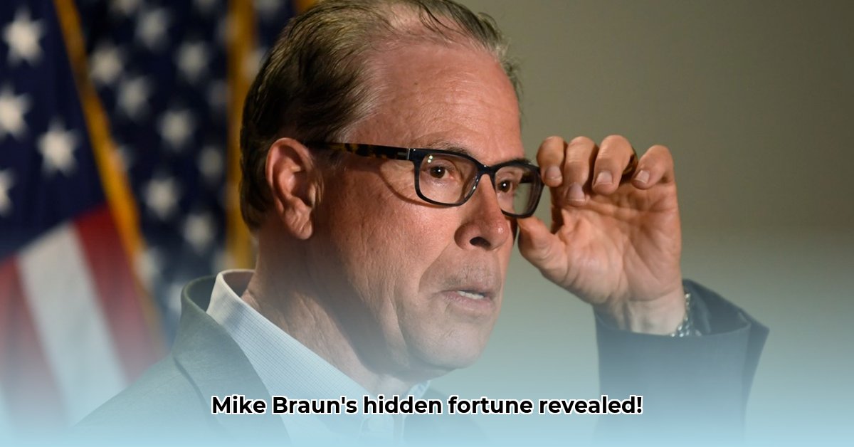 mike-braun-net-worth